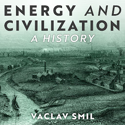 Obraz ikony: Energy and Civilization: A History