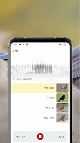 צילום מסך