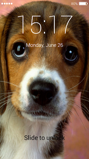 Beagle Lock Screen Screen 3