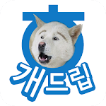 Cover Image of Descargar 개드립 - 오늘의유머 이슈 짤방 개그  APK