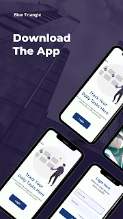 Blue Triangle screenshot 10