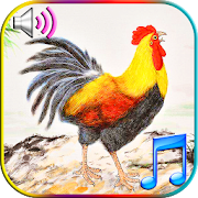 Top 36 Music & Audio Apps Like Funny Wake Up Ringtones - Best Alternatives