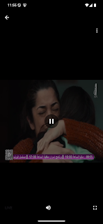 قناه صدى الفضائيه