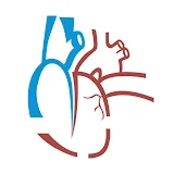 RAAmed - Medical e-Learning icon