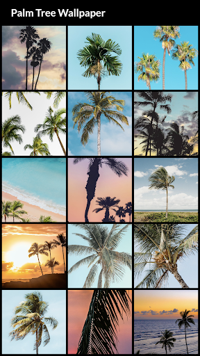 Android application Palm Tree Wallpapers screenshort