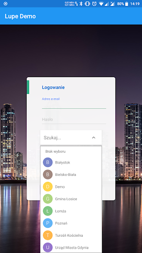 Lupe Demo Screen 2