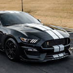 Cover Image of Download Driving Muscle Car Mustang GT 0.1 APK