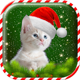 Christmas Cat Wallpaper icon
