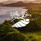 Reserva Conchal Resort icon