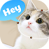 Talking pet app: animating talking animals1.0.0