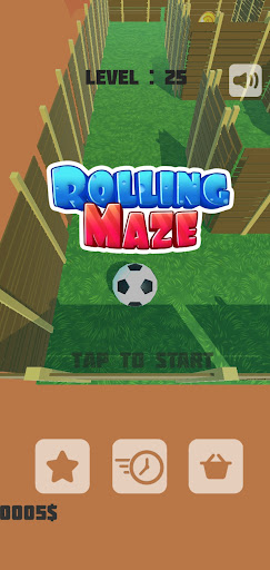 rolling maze