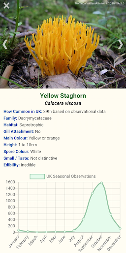 Shroomify - Mushroom Identific Screen 3