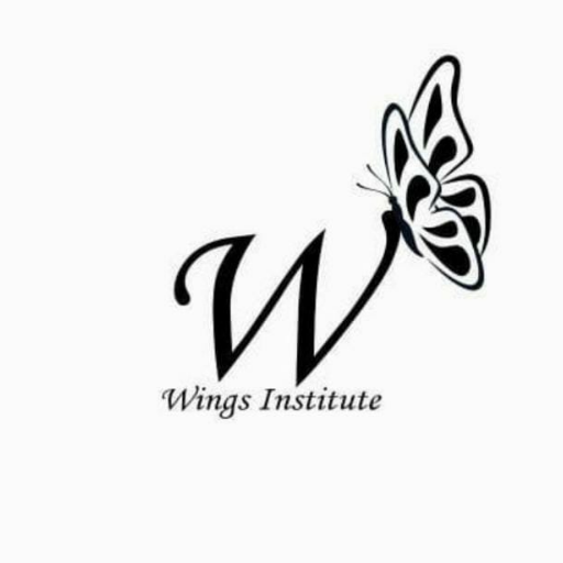 Wings Institute Sahranpur logo