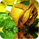 Yellow Roses Live Wallpaper icon