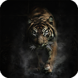 Dark Tiger Live Wallpaper icon