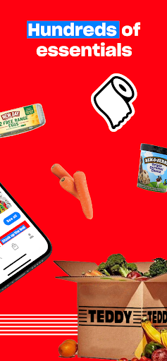 Teddy - Fast Grocery Delivery Screen 2