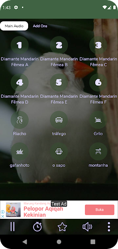 Android application Diamante Mandarin Fêmea screenshort