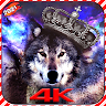 download Wolf Wallpaper HD GIF Wallpapers 4K - SFXWALL apk