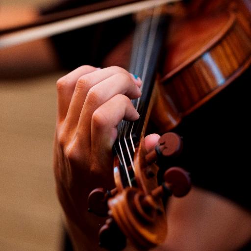 Violin Sounds logo