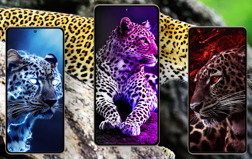 Android application Leopard Wallpapers screenshort