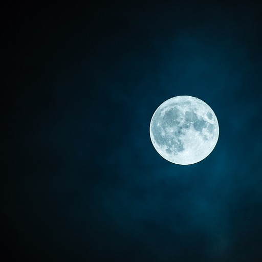 Simple Moon Calendar logo