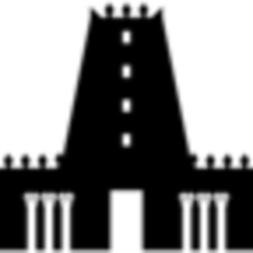 MAGVIG DMS logo