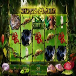 Cover Image of Descargar Casino Slot Free Game - SECRET OF THE AMAZON 1.0.0 APK