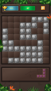 Block Puzzle 22
