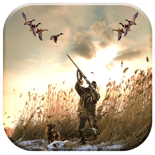 Duck Hunting 3D - Diver Ducks  Icon