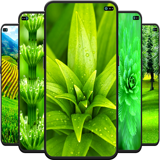 Green Nature Wallpaper Download on Windows