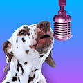 Download PetStar: My Pet Sings Dances 1.0.28 Apk for android