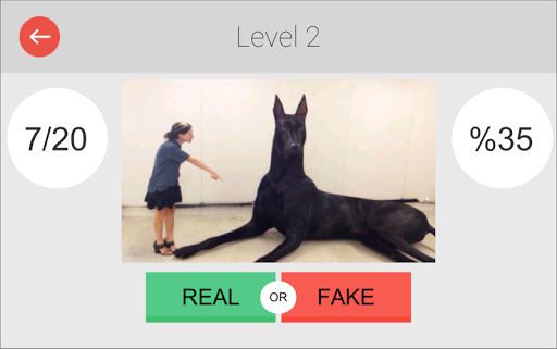 Real or Fake Photoshopped Pic