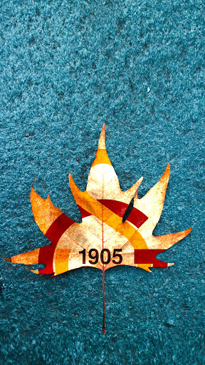 4K Wallpapers for Galatasaray