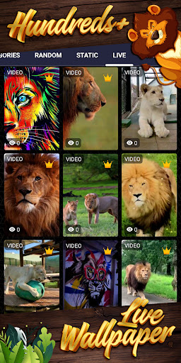 lion background Screenshot 3 - AppWisp.com