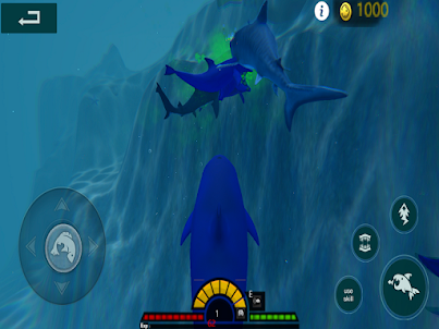 Shark Grow Simulator