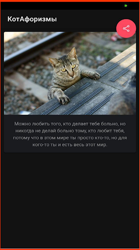 КотАфоризмы - котики и афоризм