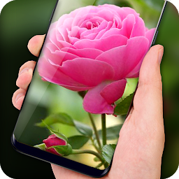Icon image Pink Rose Live Wallpaper HD