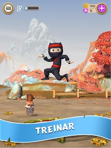 Clumsy Ninja 7