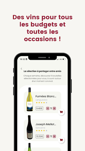 Vinidaily Screen 2
