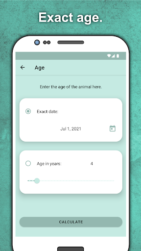 Pet Age Calculator Screen 2