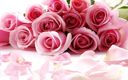 Roses Jigsaw Puzzles Screen 3