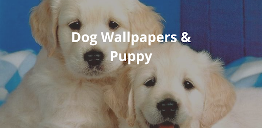 Dog Wallpapers & Puppy