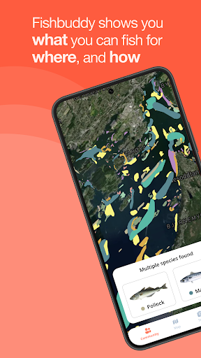 Android application Fishbuddy by Fiskher screenshort