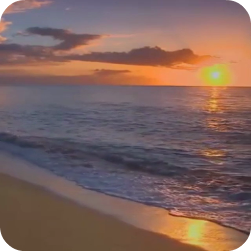 Sunset Beach Live Wallpaper logo