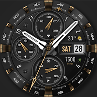 WFP 308 Business watch face