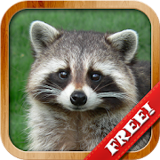 Top 49 Educational Apps Like Animals for Kids, Planet Earth Animal Sounds - Best Alternatives