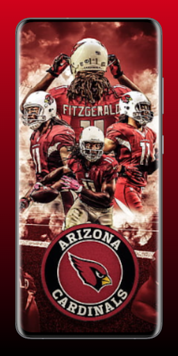 Arizona Cardinals Fans