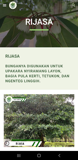 Taru Yadnya Screen 2
