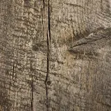 Wood Grain Wallpapers (Free) icon