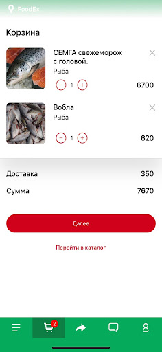 FoodEx KZ Screen 2